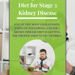 The Importance Of Diet For Stage 3 Kidney Disease