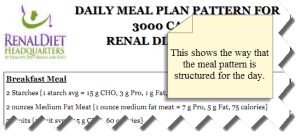 Renal Dialysis Diet Meal Plan