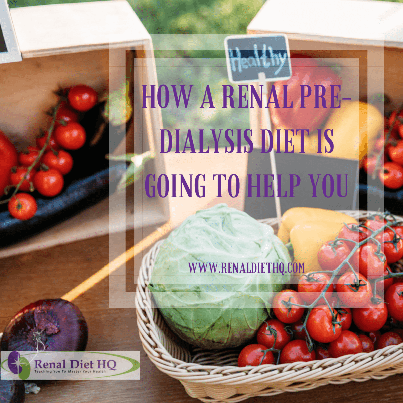 How A Renal Pre-dialysis Diet Is Going To Help You