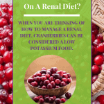 Can I Eat Cranberries On A Renal Diet?