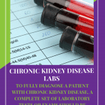 Laboratory Exams For Chronic Kidney Disease:chronic Kidney Disease Labs