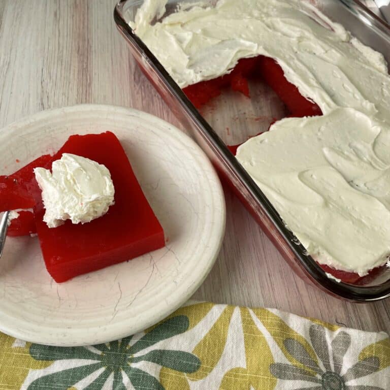 red gelating dessert pan