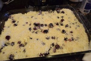 Renal Diet Recipes – Summer Fruit Cobbler