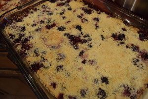 Renal Diet Recipes – Summer Fruit Cobbler