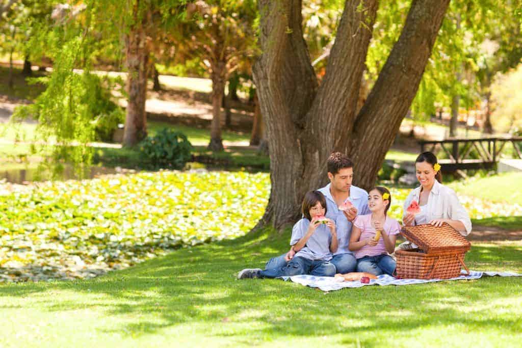 Renal Diet Headquarters Podcast 045 – Summer Picnic Ideas For Kidney Disease Renal Diet Headquarters Podcast 045 – Summer Picnic Ideas For Kidney Disease