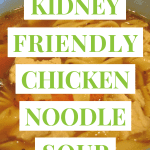 Kidney Friendly Chicken Noodle Soup ready to be served.