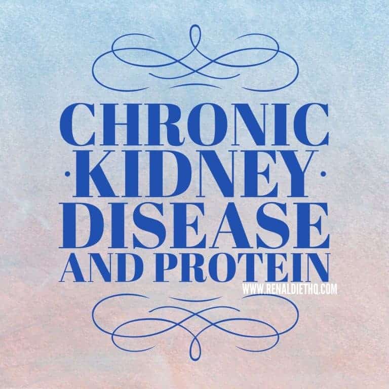 Chronic Kidney Disease and Protein Renal Diet Menu Headquarters