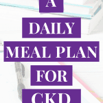 Daily Meal Plan For Chronic Kidney Disease