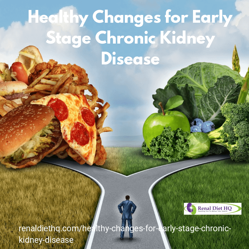 Healthy Changes For Early Stage Chronic Kidney Disease