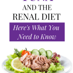 Can You Have Canned Tuna On A Renal Diet?