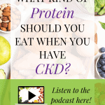 Rdhq Podcast 98: Does The Type Of Protein Matter For Ckd? Plant Based Or Omnivore Diet For Kidney Disease?