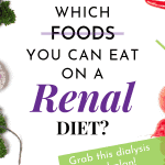 Renal Dialysis Diet Meal Plan