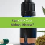 CBD oil, capsules and hemp buds