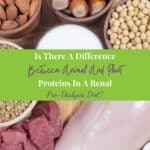 Natural products containing plant and animal proteins.