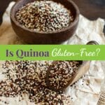 Pile of uncooked mixed quinoa grain