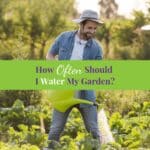 Smiling farmer in brim hat and denim clothes watering plants in garden