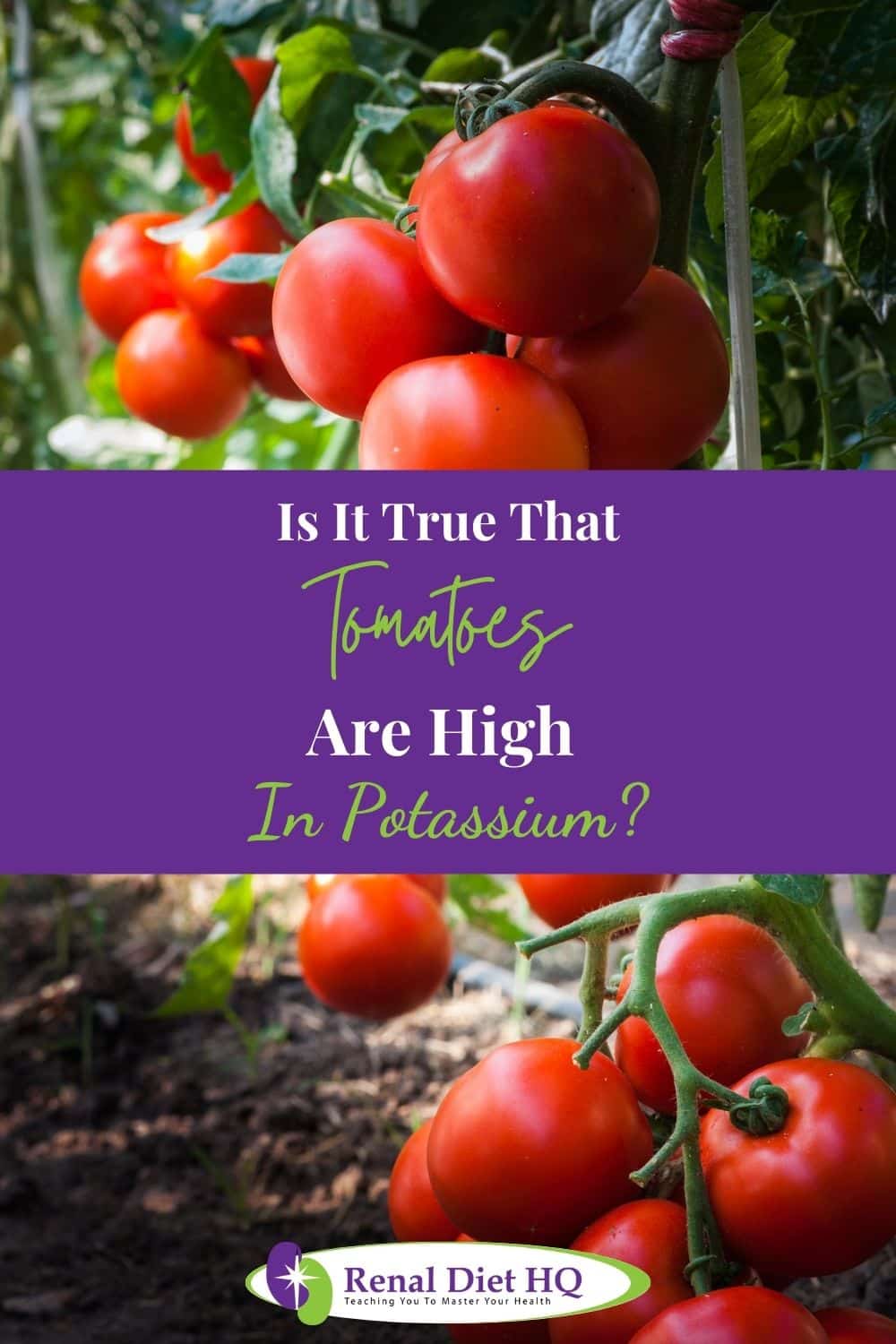 Are tomatoes harmful for kidneys? Renal Diet HQ