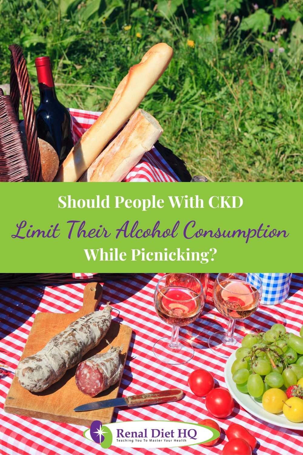 Picnic Meals For Pre Dialysis CKD - Renal Diet HQ