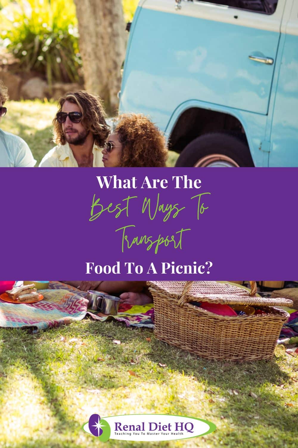 Picnic Meals For Pre Dialysis CKD - Renal Diet HQ