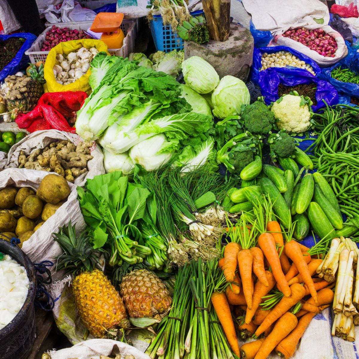 Various types of vegetables