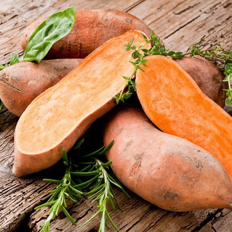 Closed up photo of Sweet potato with rosemary leaves