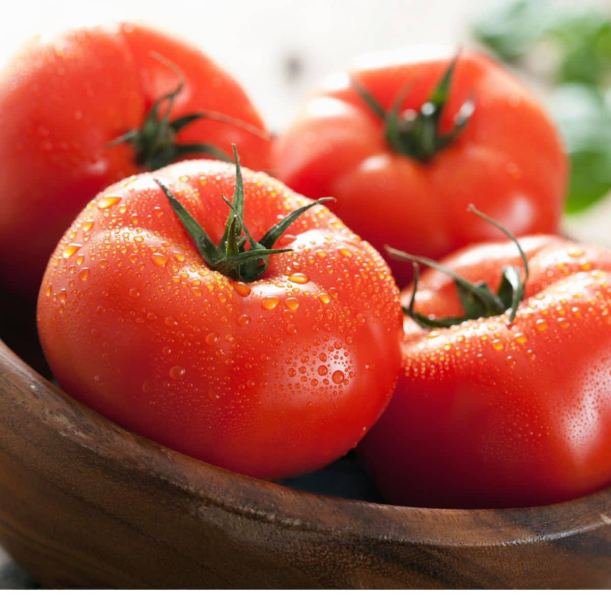 Can I Eat Tomatoes On A Renal Diet Fresh tomatoes in wooden bowl.