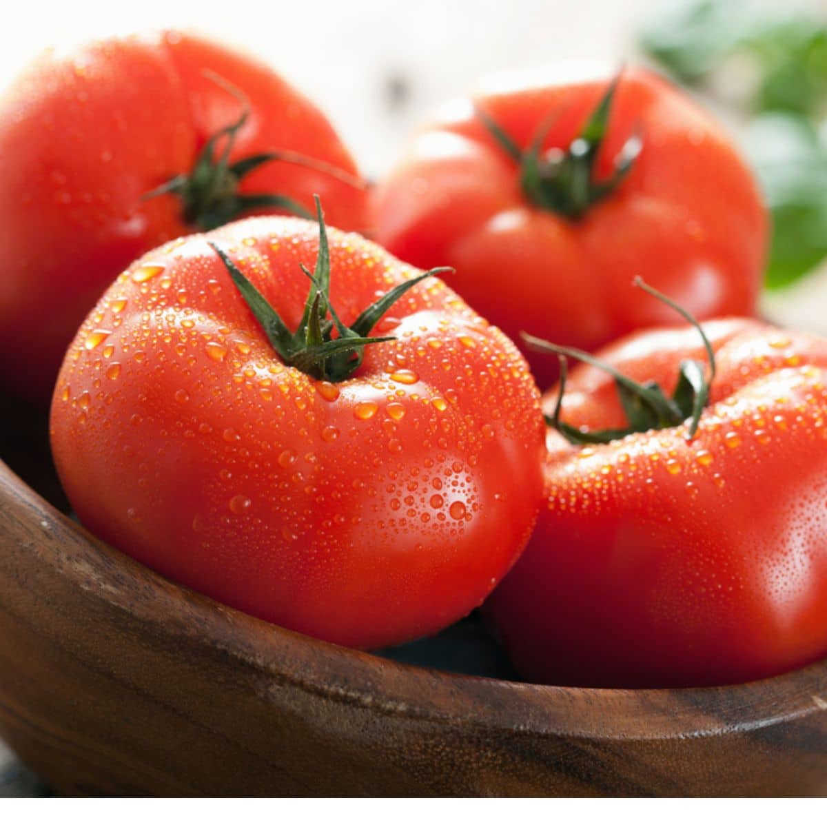 Fresh tomatoes in wooden bowl.