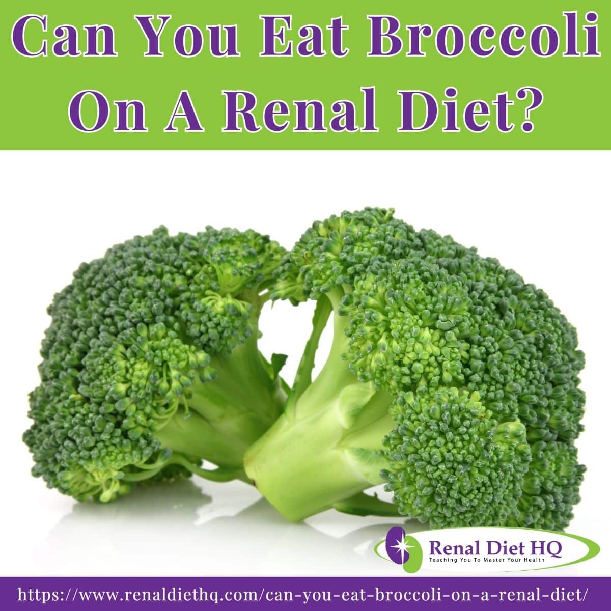 broccoli in white background