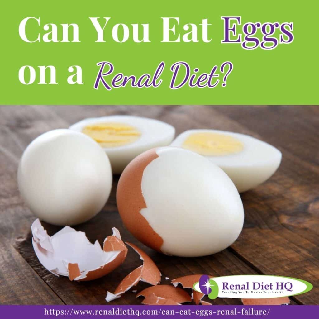 Can You Eat Eggs on a Renal Diet Renal Diet HQ