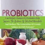 Probiotic pills concept