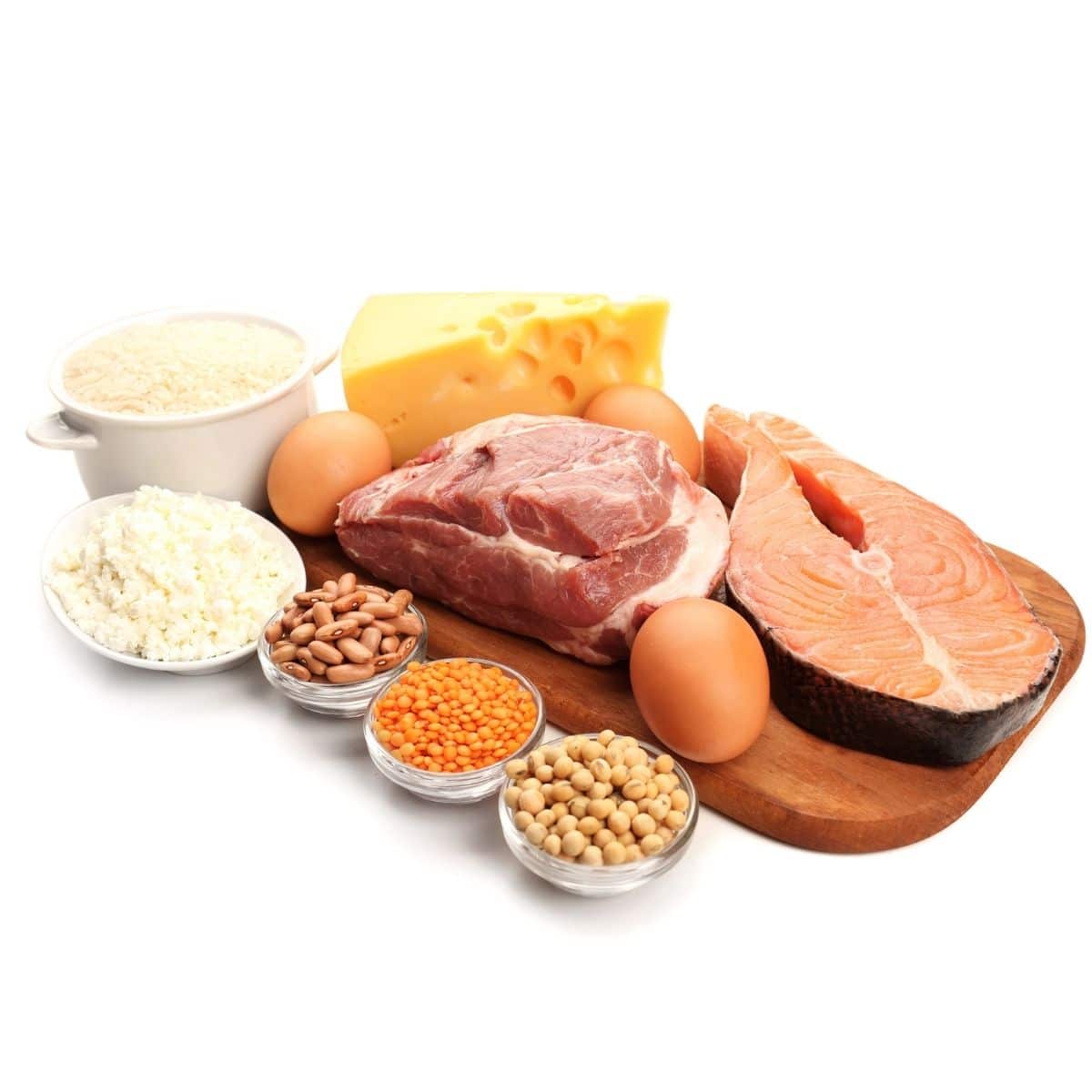 Various types of Food high in protein