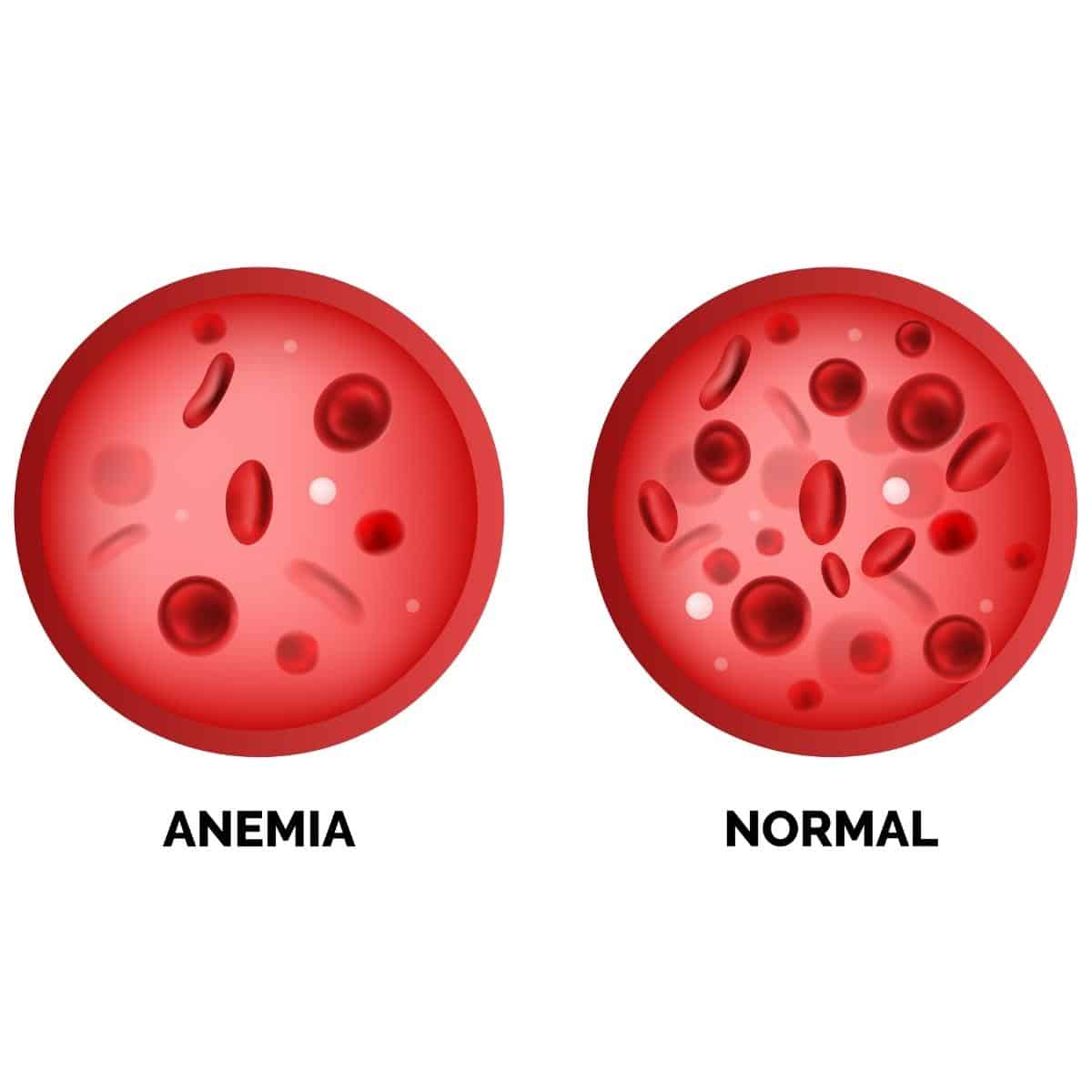 Red blood cells or hemoglobin amount in human blood.