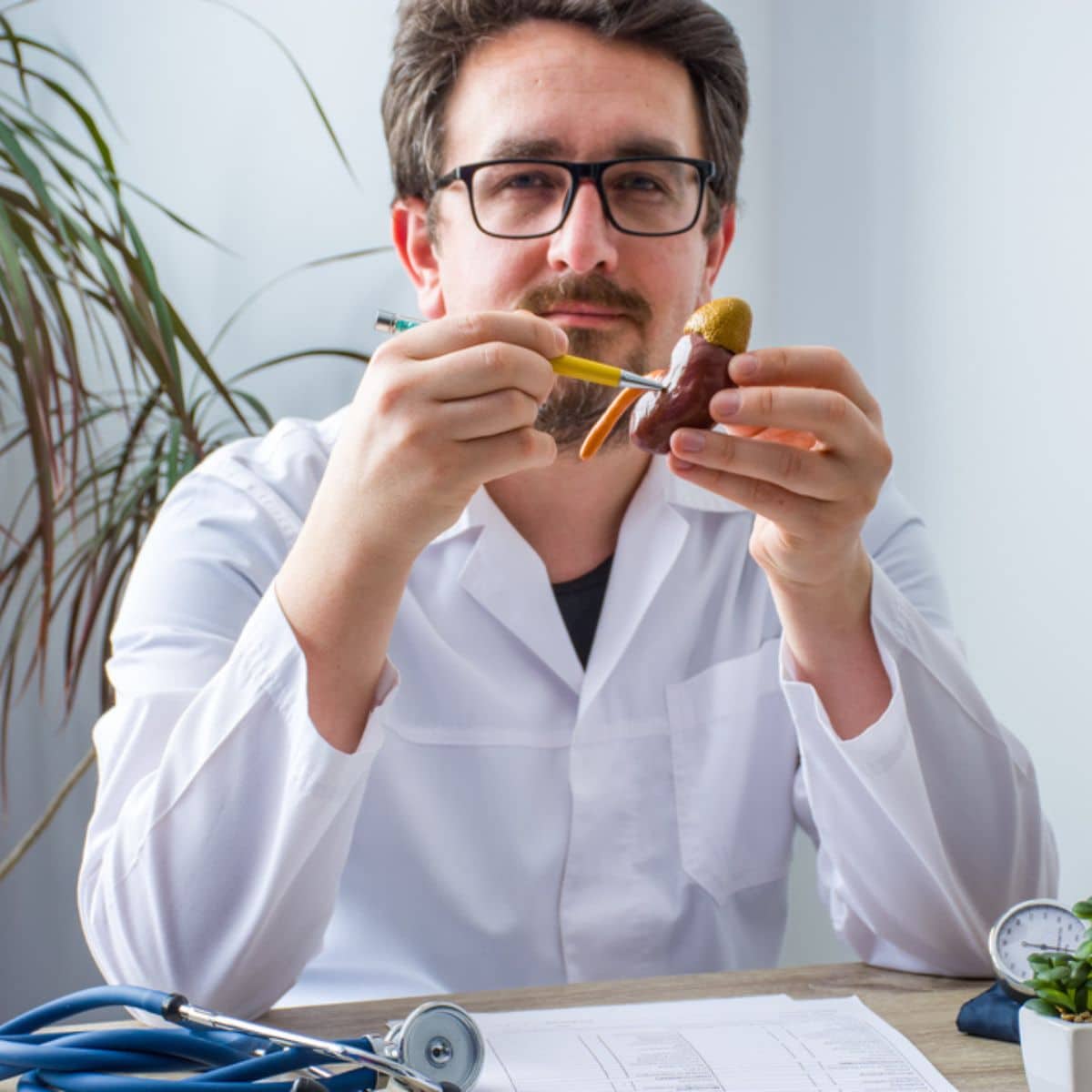 a doctore holding a pen pointing to a Kidney anatomical model.