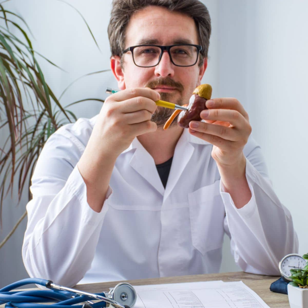  a doctore holding a pen pointing to a Kidney anatomical model.