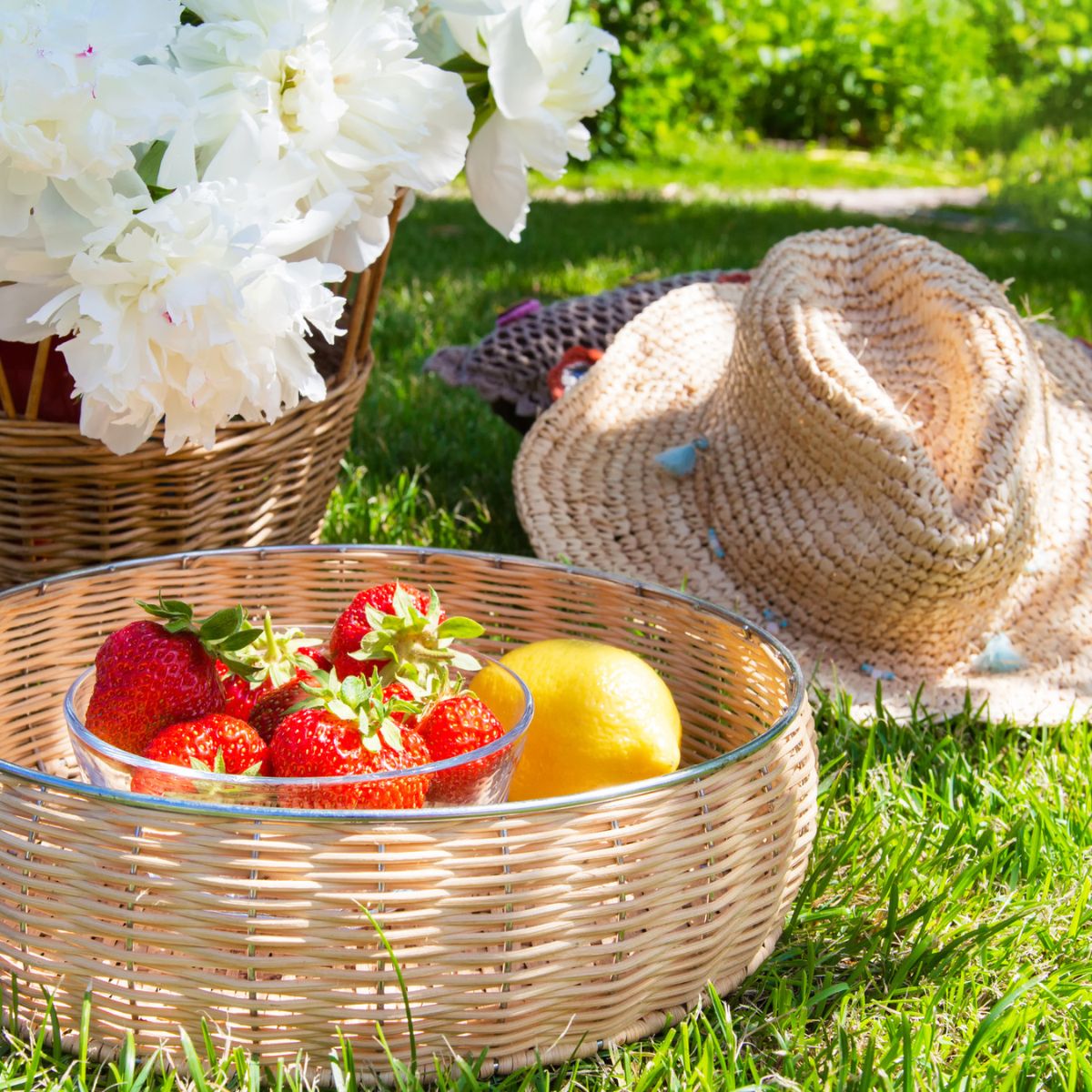 A beautiful basket with straberries and lemon in the garden.