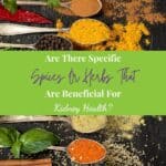 Various Herbs and spices in Spoon