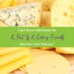 Various types of yellow cheese