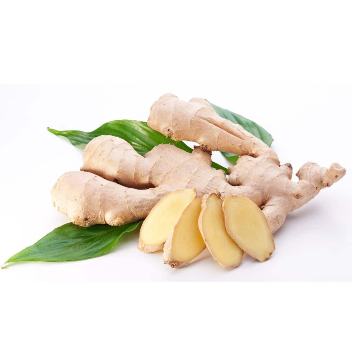 Fresh ginger with leaves