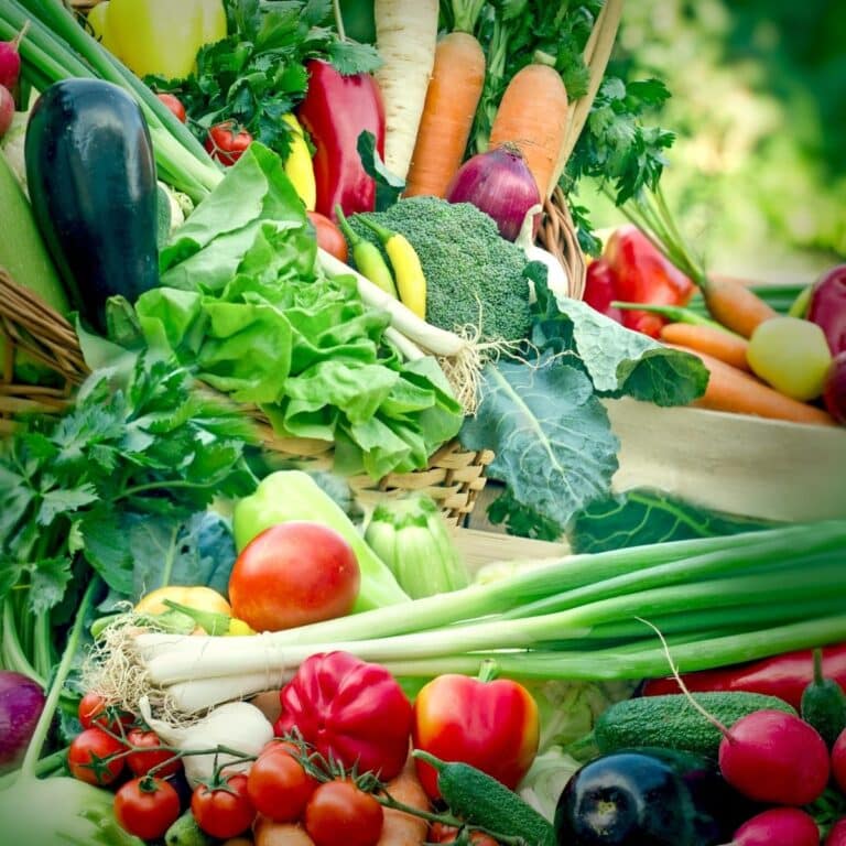 Fresh organic vegetables in wicker basket