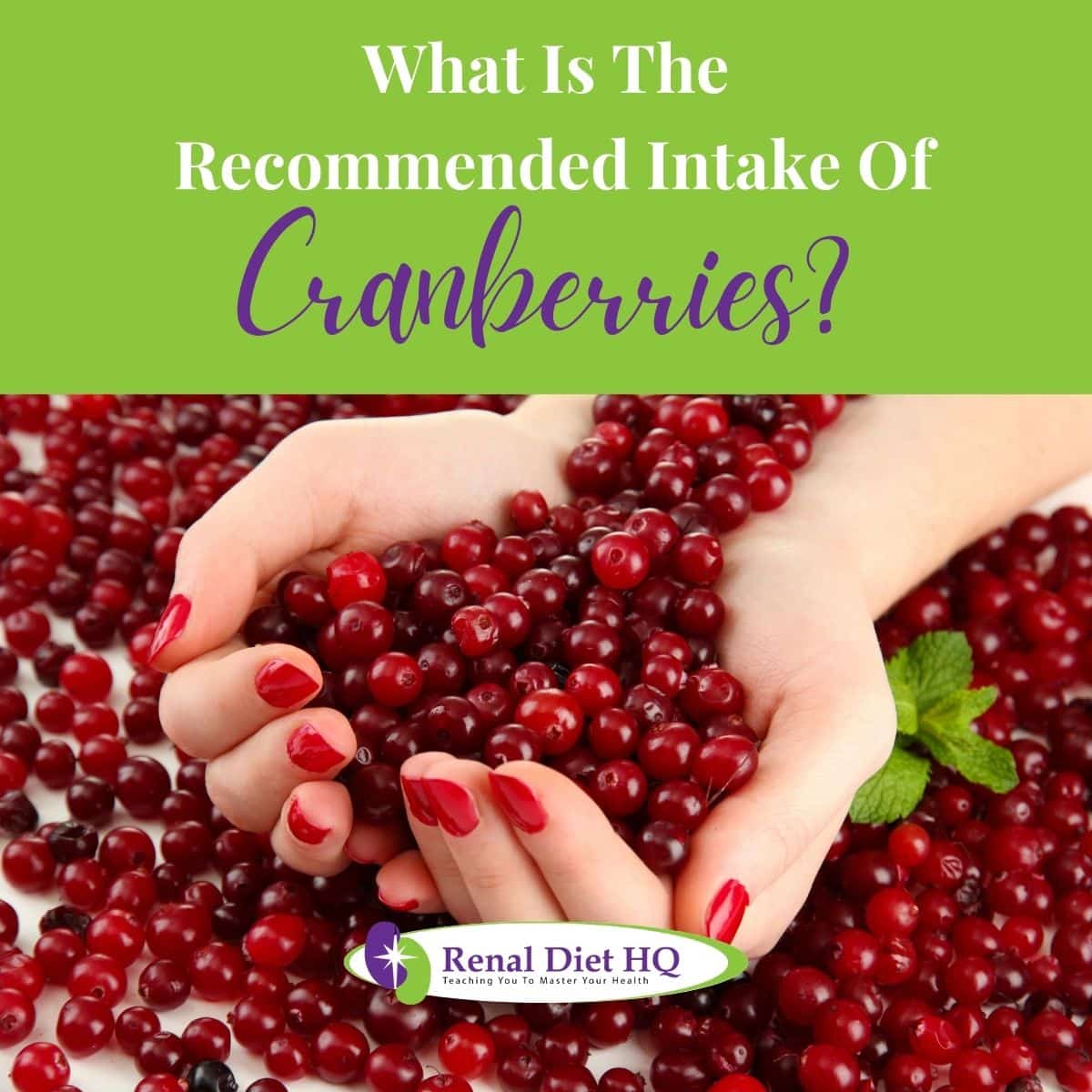 Woman hands holding ripe red cranberries