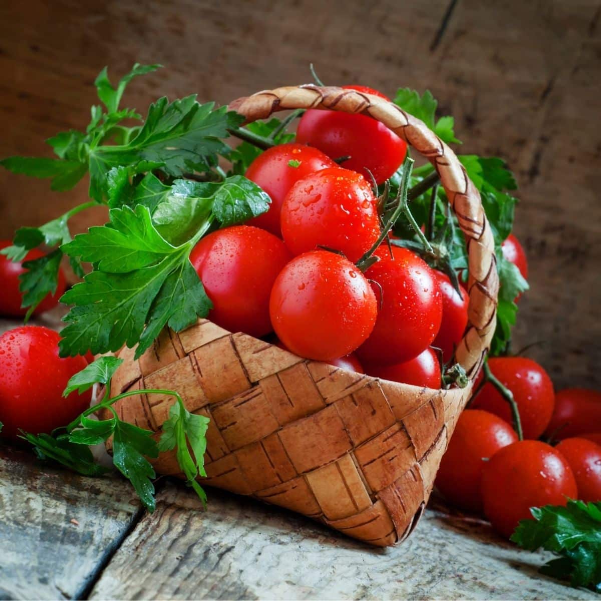 Cherry tomatoes and parsley in wicker basket