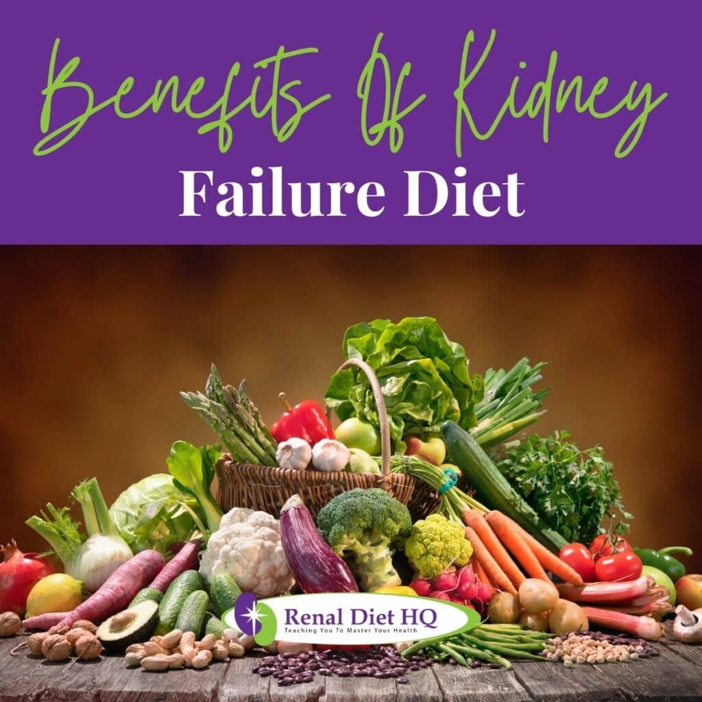 What Is A Kidney Failure Diet - Renal Diet HQ