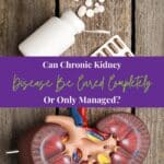 Kidney Model and Pills