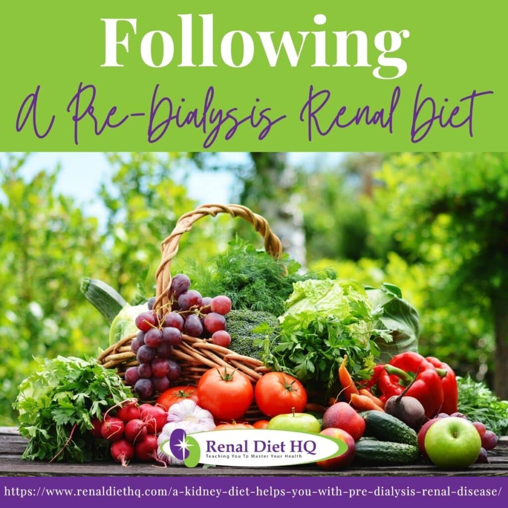 A Kidney Diet Helps You With Pre-Dialysis Renal Disease | Renal Diet