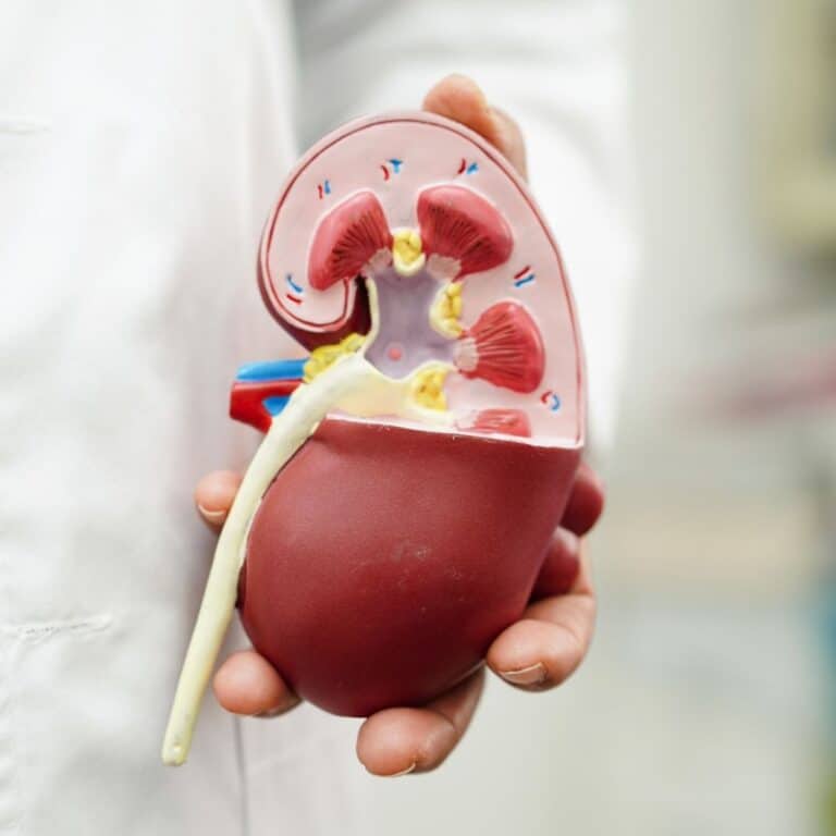 How To Manage Chronic Kidney Disease