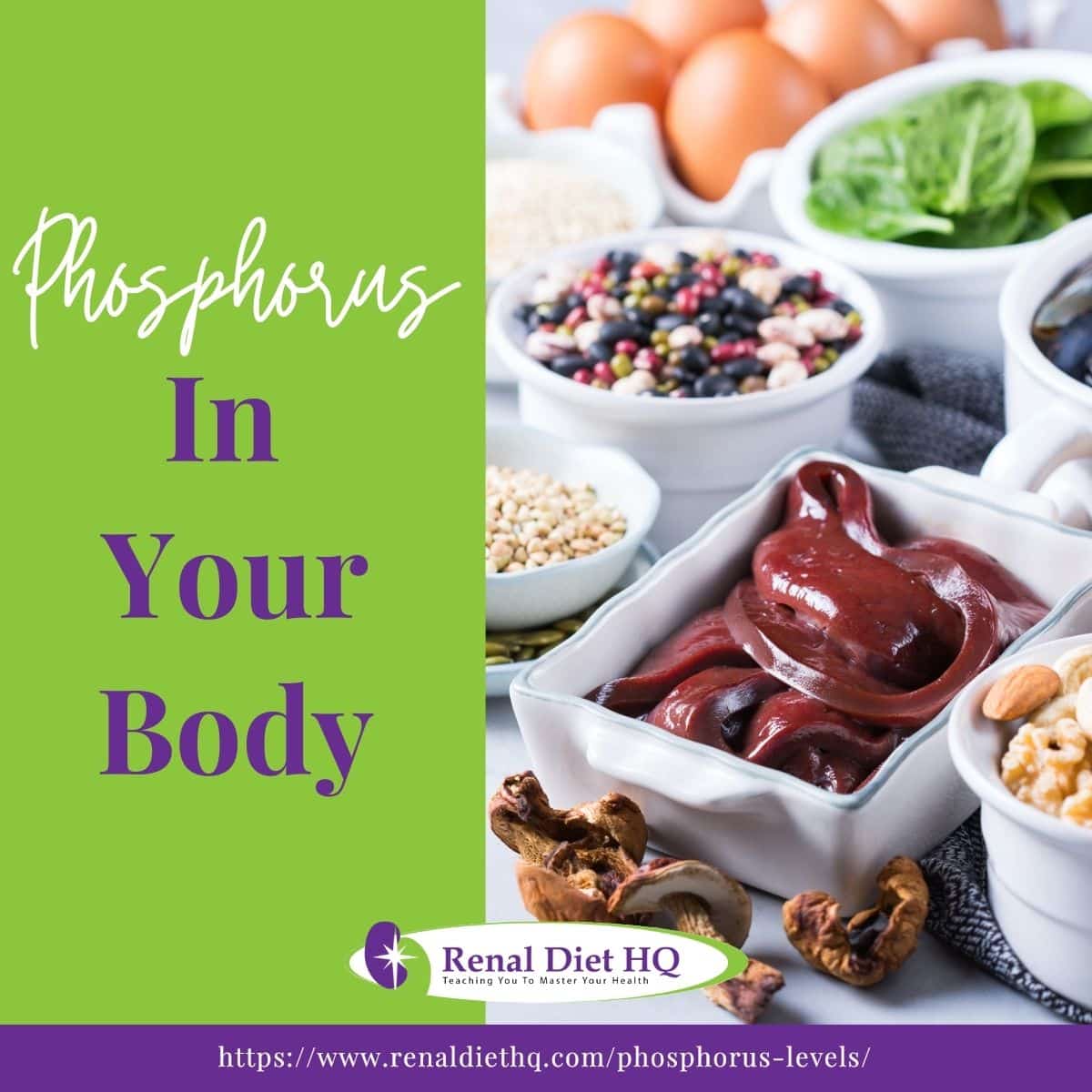 Different types of Food source of Phosphorus