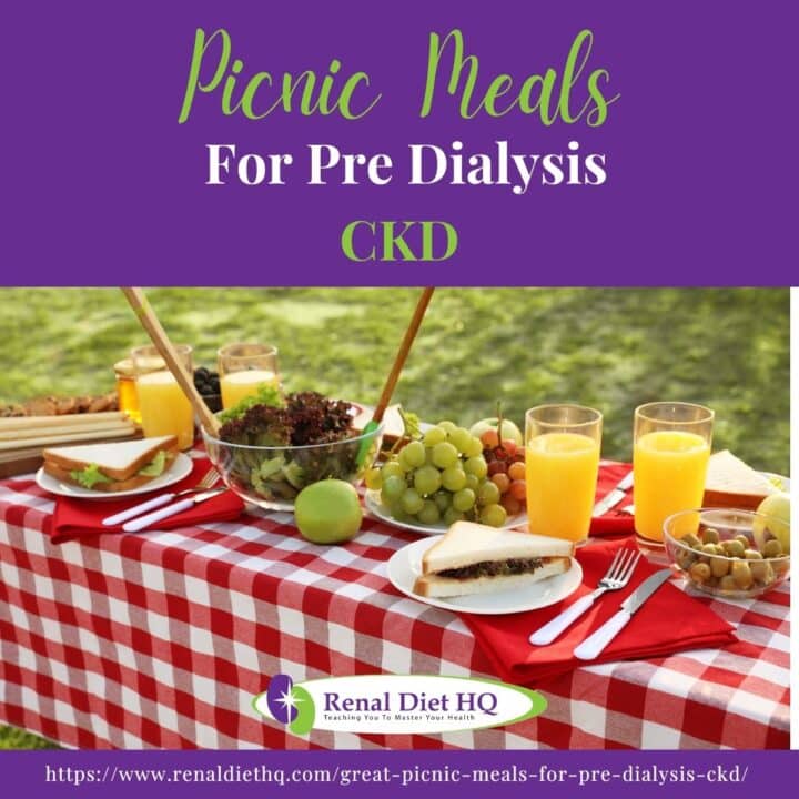 Picnic Meals For Pre Dialysis CKD - Renal Diet HQ