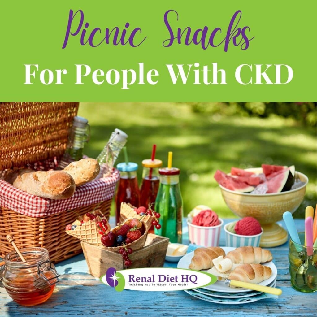 Picnic Meals For Pre Dialysis CKD - Renal Diet HQ