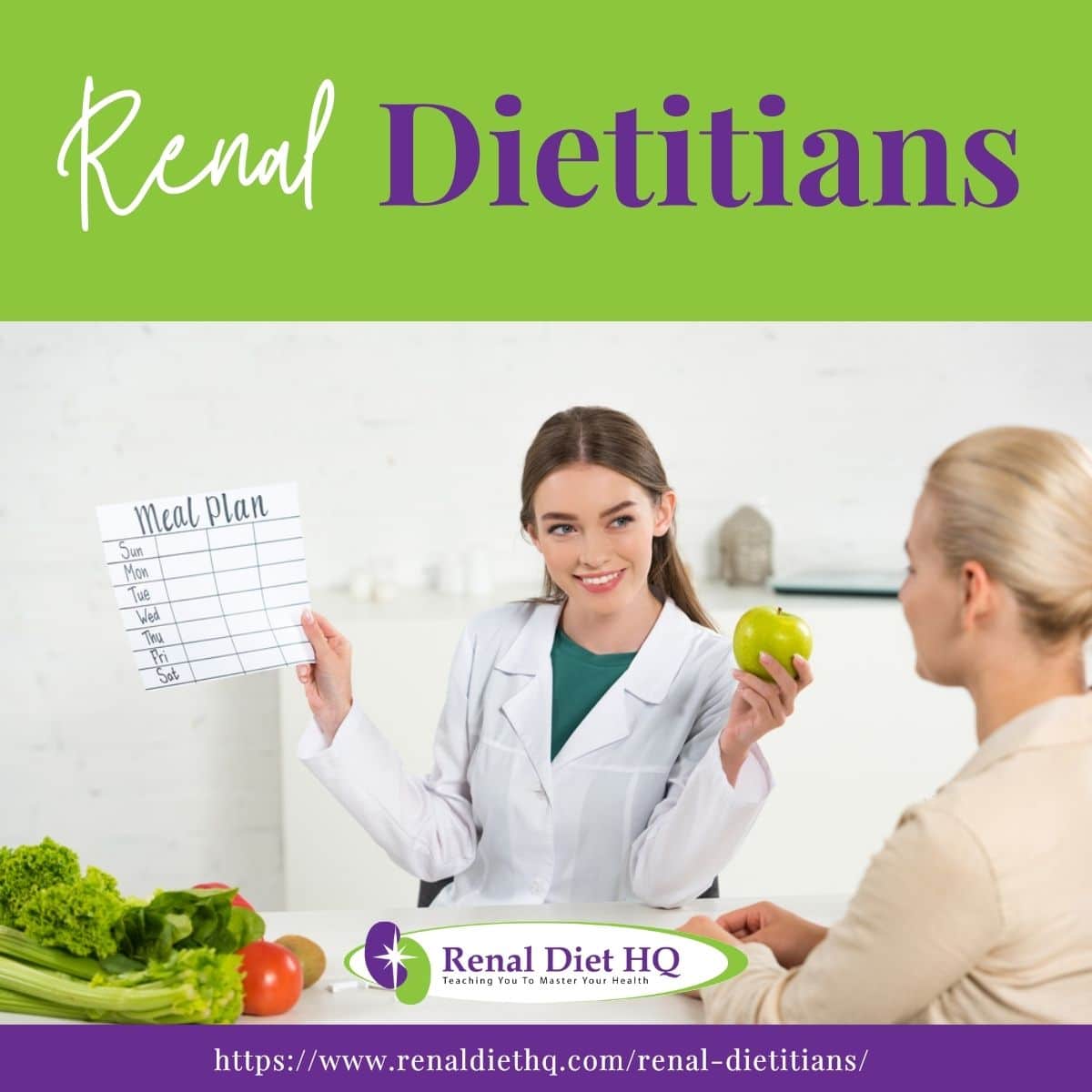 Dietitian showing Meal plan to the Patient