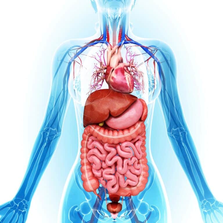 How Does Kidney Failure Affect the Body